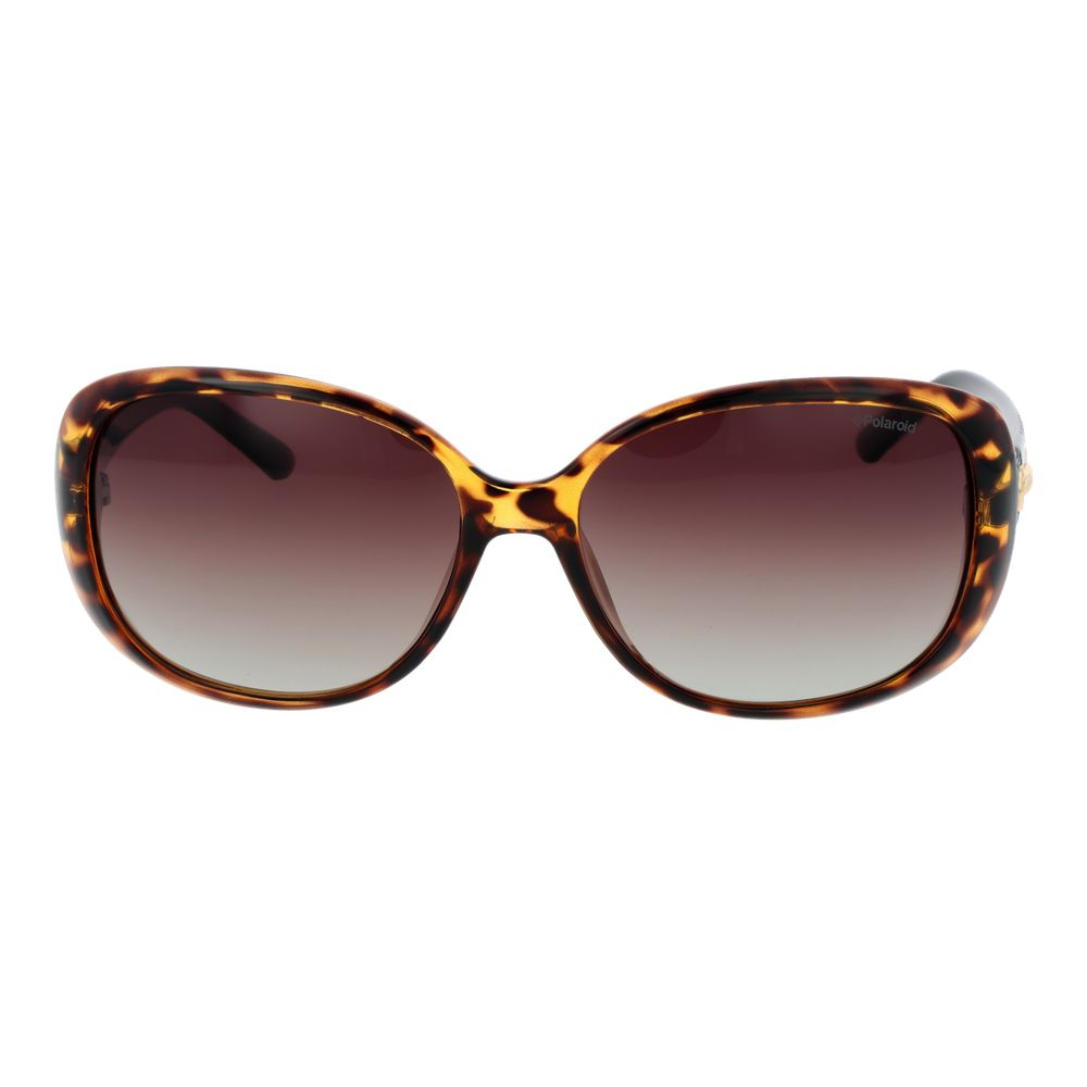 Polaroid Brown Plastic Sunglasses | Regal Royce